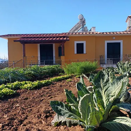Casa Vacanze Il Frutteto Massa Lubrense Exterior photo