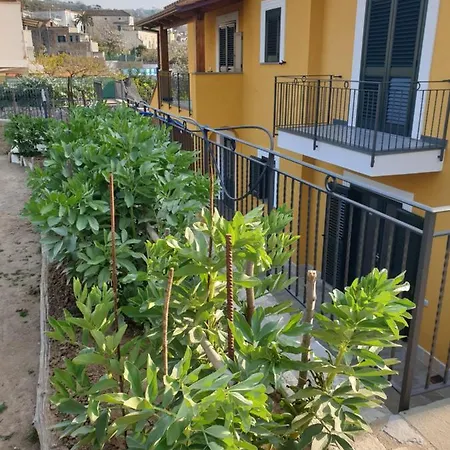 Casa Vacanze Il Frutteto Massa Lubrense Exterior photo