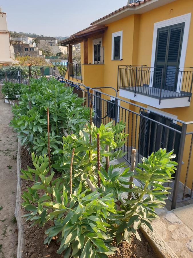 Holiday home Il Frutteto *