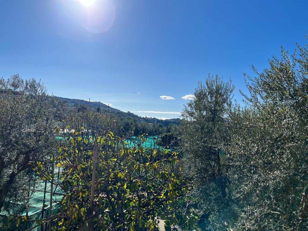 Il Frutteto Holiday home